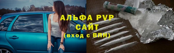 apvp Бородино