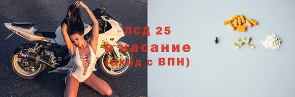 apvp Бородино