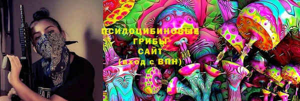 apvp Бородино