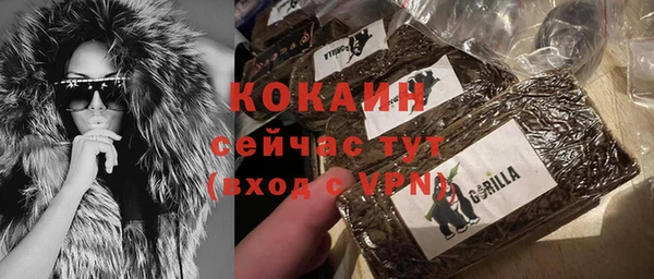 apvp Бородино