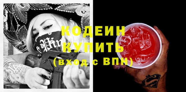 apvp Бородино