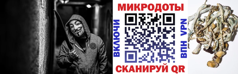 Купить Всеволожск Галлюциногенные грибы мухоморы